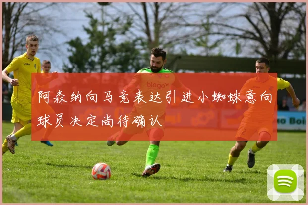 阿森纳向马竞表达引进小蜘蛛意向球员决定尚待确认